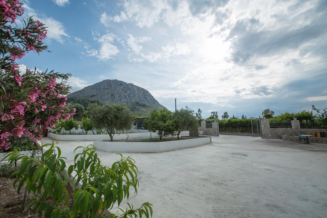 Acrocorinth Apartments Eksteriør billede